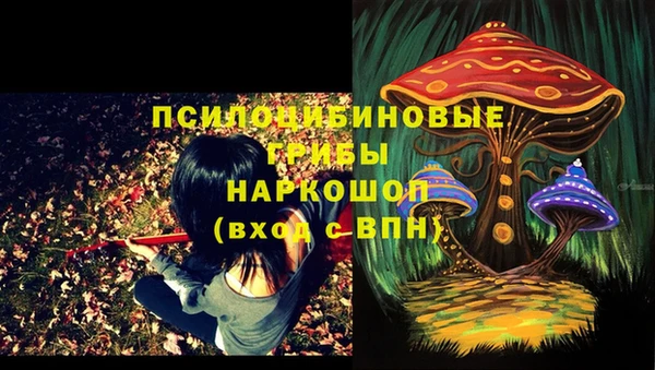 спайс Вязьма