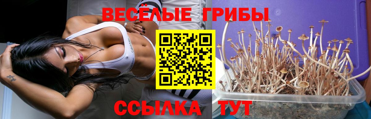 Галлюциногенные грибы ЛСД Елабуга