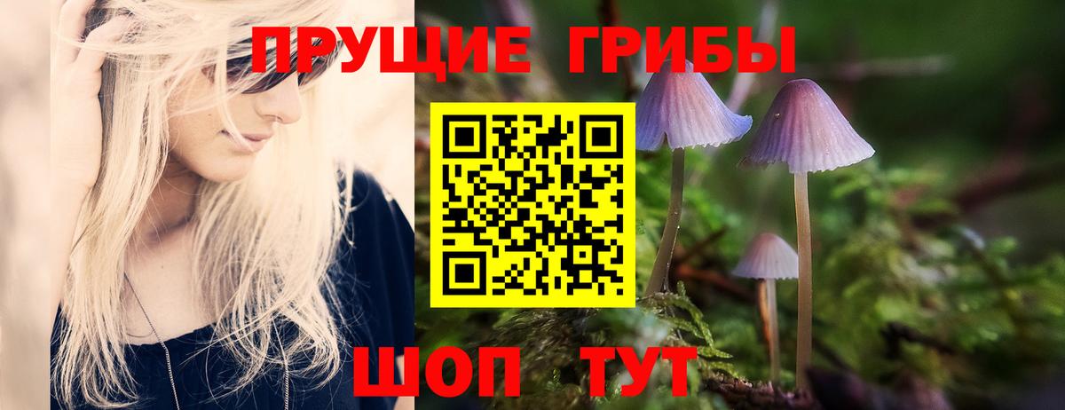 Псилоцибиновые грибы прущие грибы  Вход с VPN  Псилоцибиновые грибы прущие грибы  Елабуга 